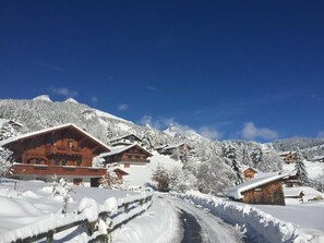 Exterior - La petite Silène  (Leysin)