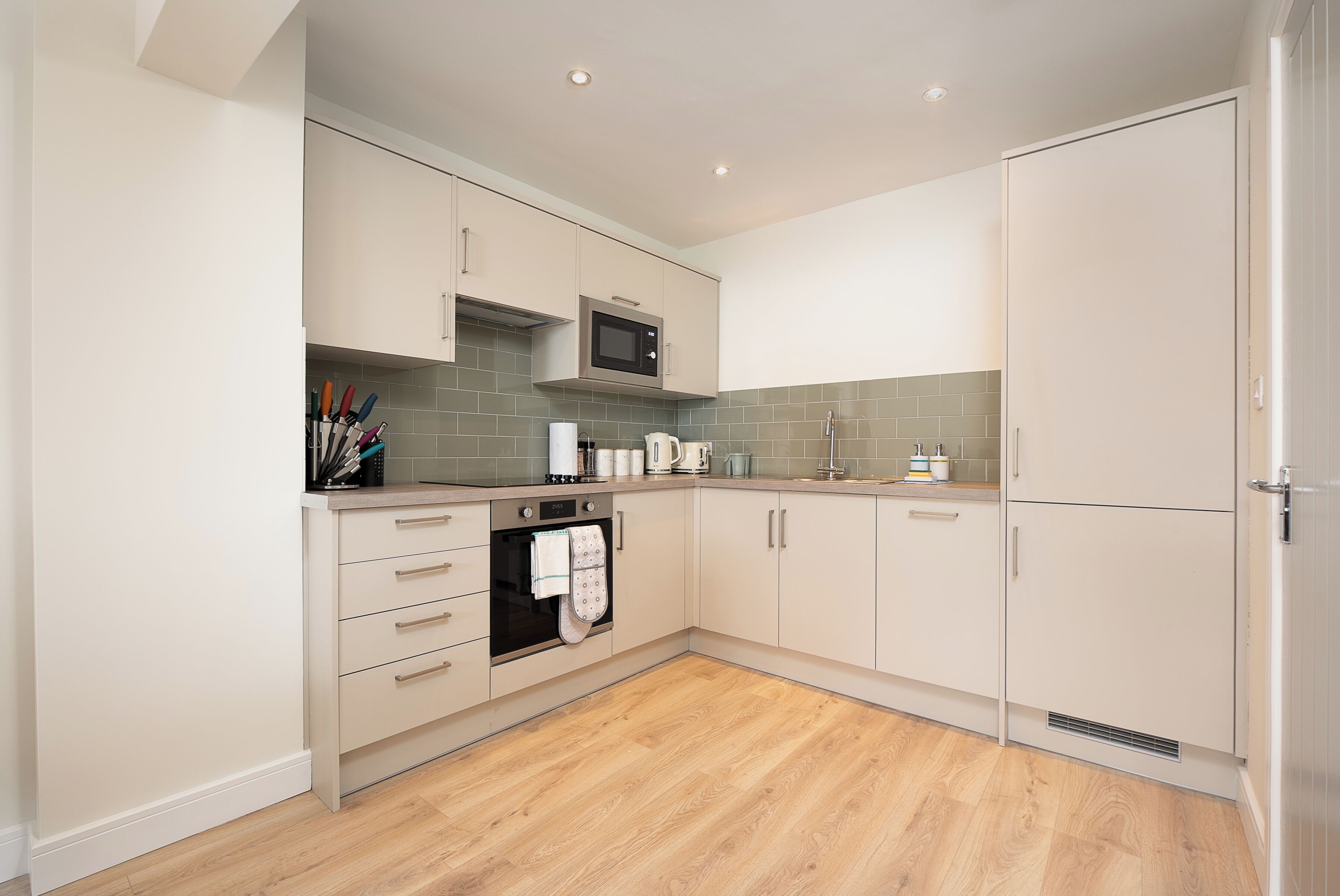 Căn hộ Deluxe, quang cảnh thành phố | Bếp riêng | Tủ lạnh, lò vi sóng, lò nướng, bếp nấu 