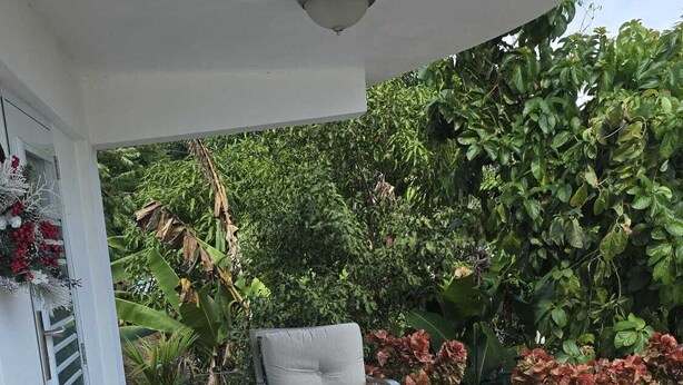 Eine Terrasse im Freien mit Tisch und zwei Stühlen, umgeben von üppiger Bepflanzung und einer weißen Mauer.