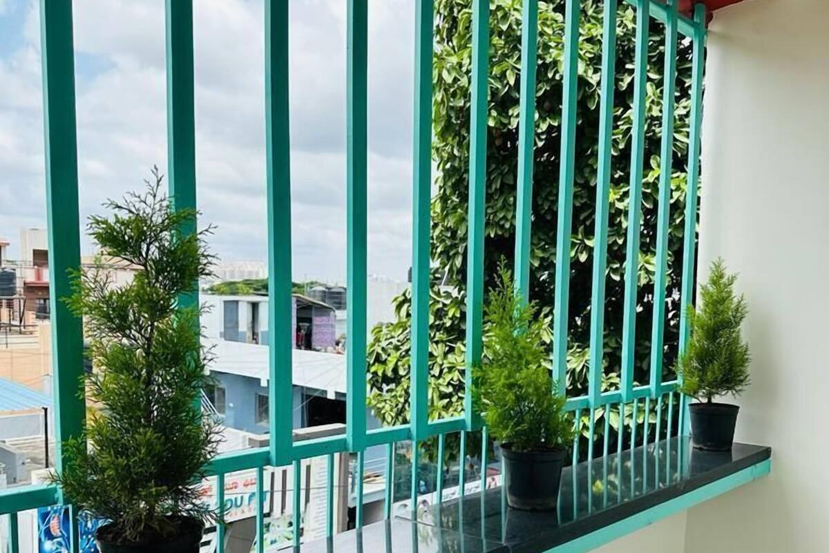 A balcony with teal railings, potted plants, and a view of buildings.
