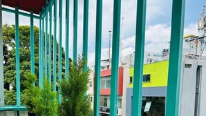 Ένα μπαλκόνι με γαλαζοπράσινες μπαλώτες, γλάστρες με φυτά και θέα σε πολύχρωμα κτίρια.