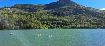 Charming Pyrenean House