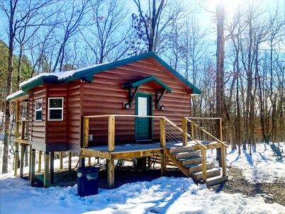 NEW! Couple's Luxury TreeHouse - Hot Springs
