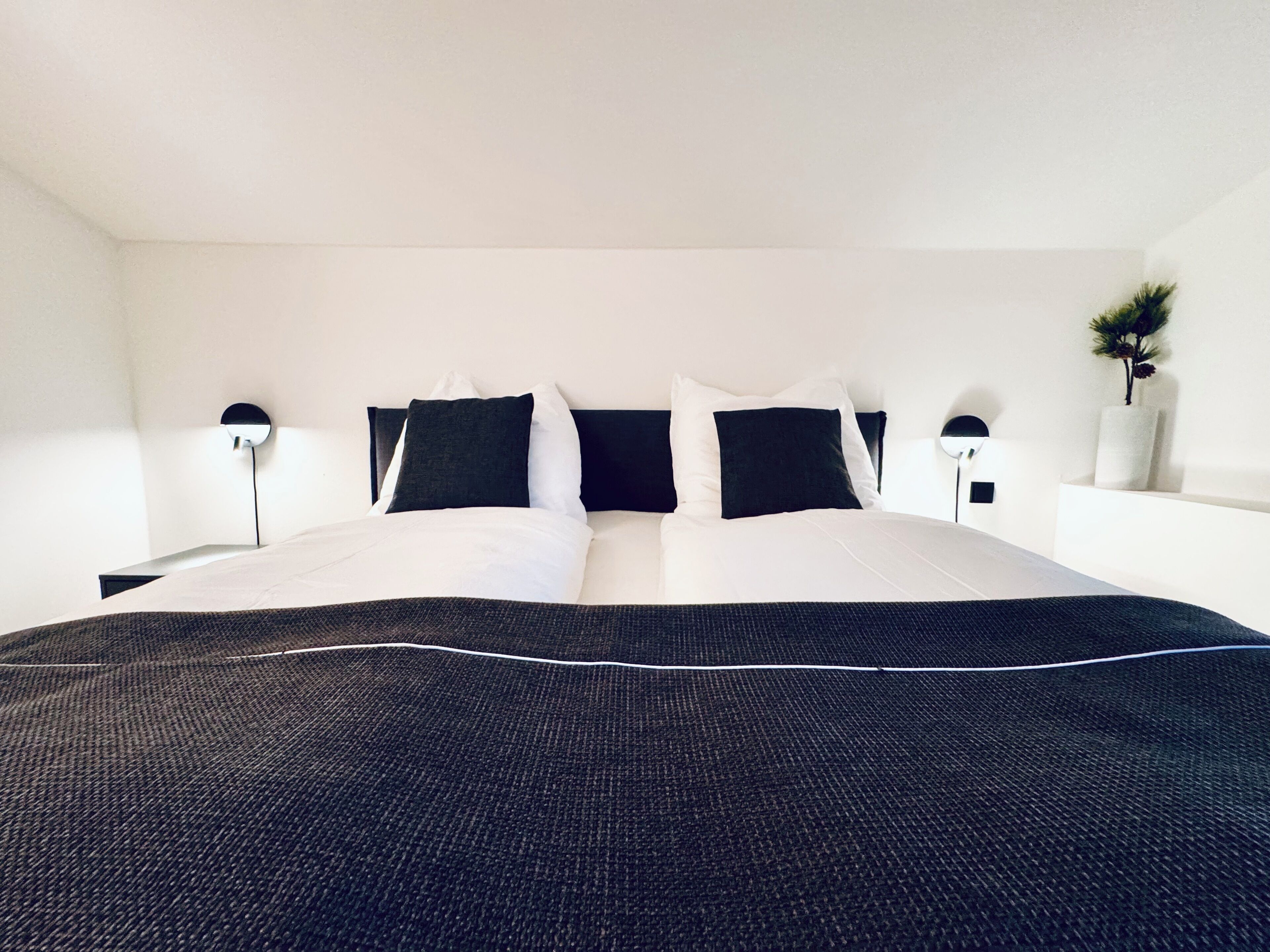 A neatly made bed with a dark bedspread and white pillows, flanked by two bedside tables with lamps, in a minimalist room with white walls and a small plant on the right.