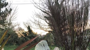 A garden with a variety of plants, including red-leafed plants and tall grasses, surrounded by rocks and a large white rock in the center. - 1-bedroom gîte with access to covered, heated swimming pool. 2 steps from the sea  (Guissény)