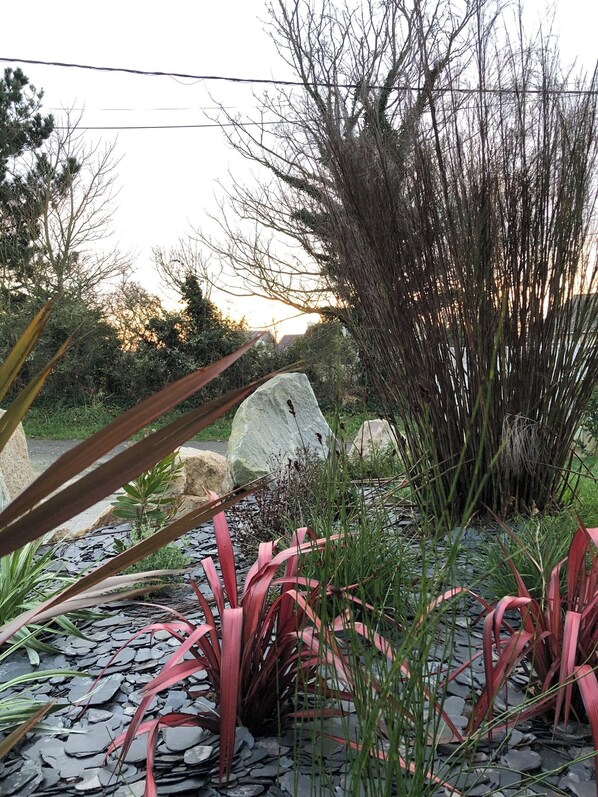 A garden with a variety of plants, including red-leafed plants and tall grasses, surrounded by rocks and a large white rock in the center. - 1-bedroom gîte with access to a covered, heated pool. Just a stone's throw from the ocean (Guissény)