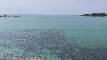 A coastal view with clear turquoise waters, rocky shoreline, and distant buildings.