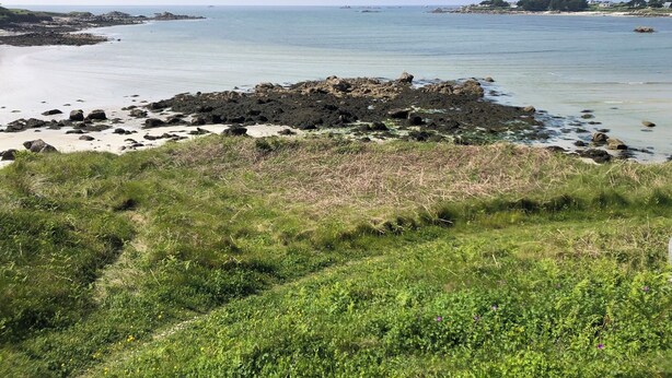 A coastal landscape with a rocky shoreline, grassy areas, and a clear view of the sea. - 1-bedroom gîte with access to covered, heated swimming pool. 2 steps from the sea  (Guissény)