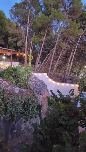 Overnatningsstedets område