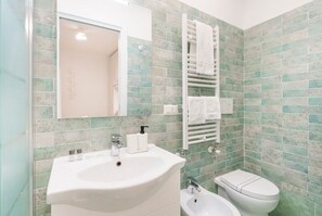 Regadera, secadora de cabello, bidet, toallas 