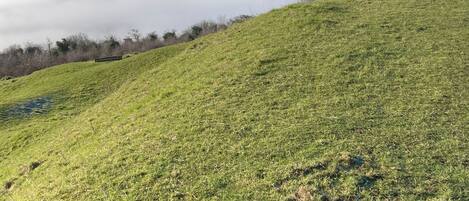 A grassy hill with a black dog in the foreground and a cityscape in the background.