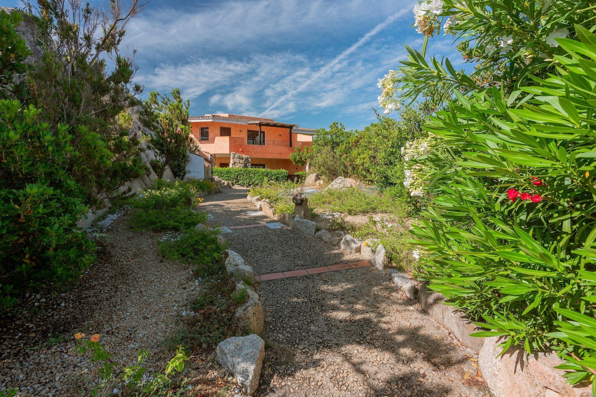 A pathway leading to a building surrounded by greenery and rocks.