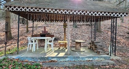 Private rustic cabin in New Ringgold