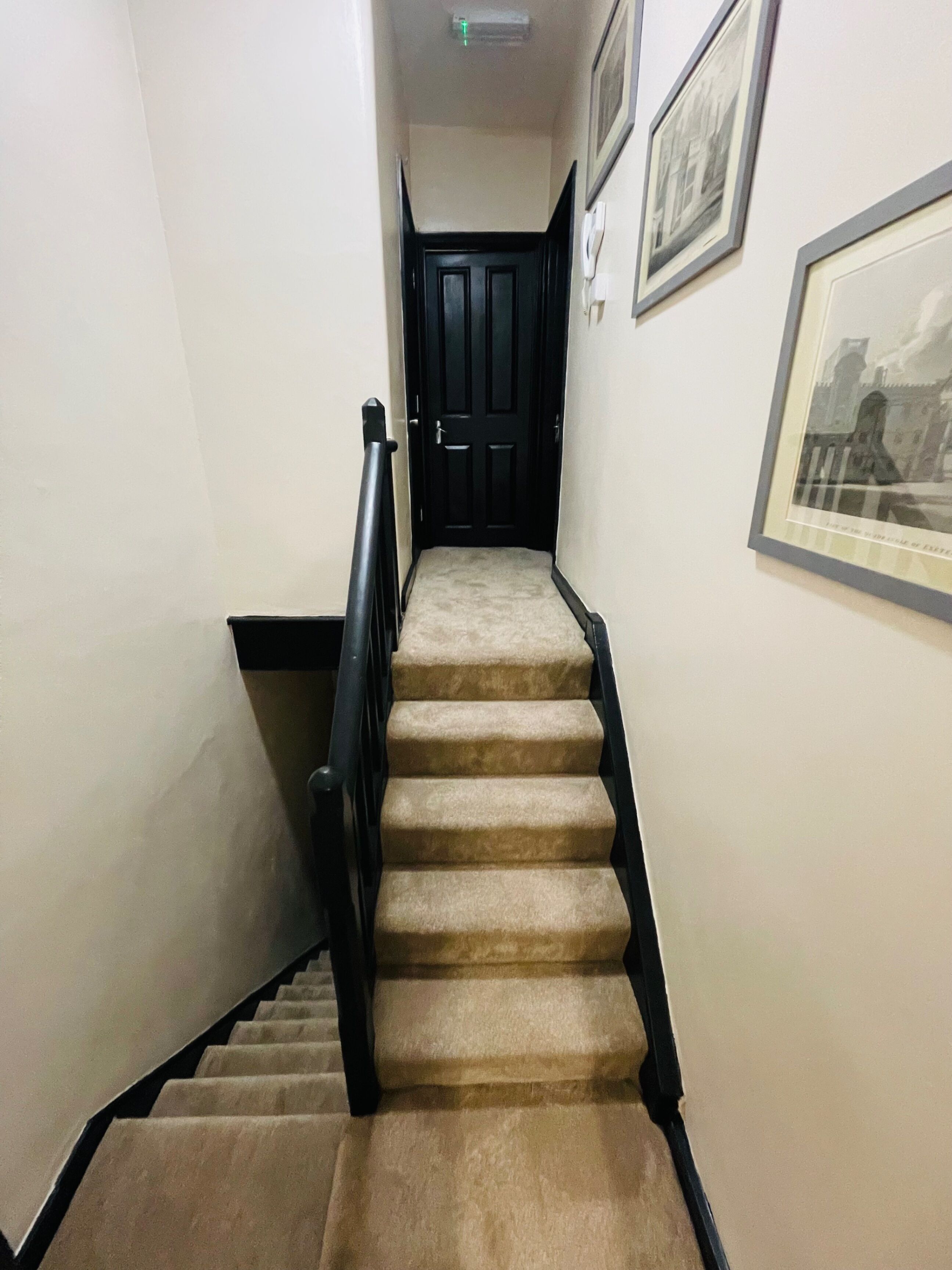 A carpeted staircase with black handrails leading to a dark wooden door at the top.