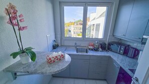 Fridge, microwave, oven, stovetop - Spacious Duplex apartment with fantastic lake view just 5 minutes from Zurich (Zollikon)