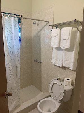 Shower, towels, toilet paper