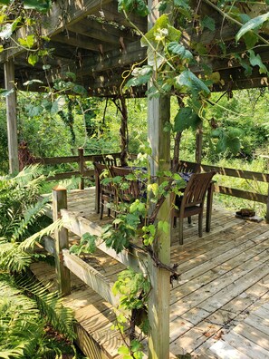 A wooden deck with a pergola, chairs, and ferns. - Funky musical cottage near Lake Michigan PET Friendly!!! (Norton Shores)