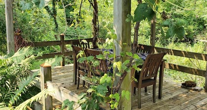 Funky musical cottage near Lake Michigan PET Friendly!!!