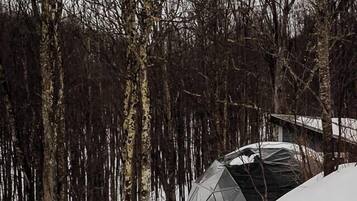 Camí cobert de neu que condueix a una estructura geodèsica, envoltat d'arbres sense fulles.