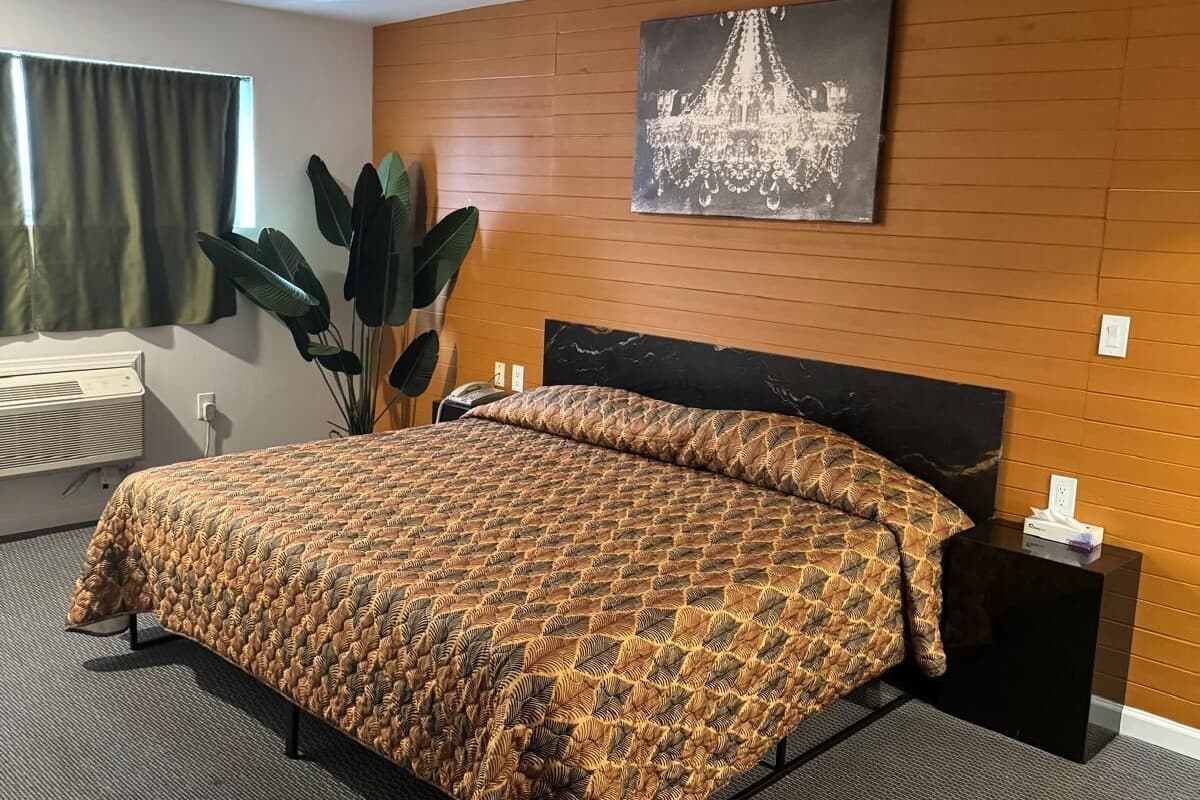 Quarto de hotel com uma cama grande, uma mesa de cabeceira, um vaso de planta e um quadro de um candelabro na parede.