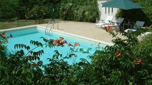 A swimming pool with a sun umbrella, lounge chairs, and a hedge in the background.
