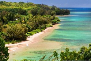4 bedrooms - Anini Beachfront Home (Kilauea)