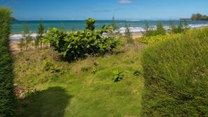 Eine Küstenlandschaft mit freiem Blick auf den Ozean, einem Sandstrand und üppiger Vegetation.