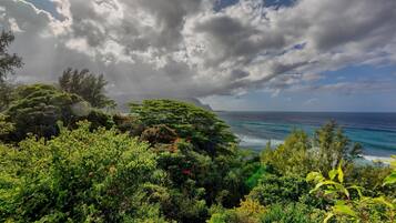A coastal landscape with dense greenery, a view of the ocean, and a partly cloudy sky.