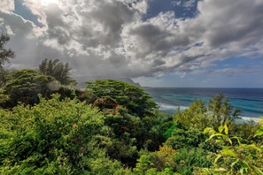 Un paisaje costero con abundante vegetación, vista al océano y cielo parcialmente nublado.