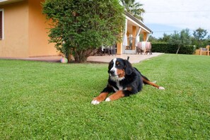 Overnattingsstedets uteområder