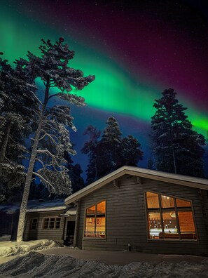 Eine Hütte mit verschneietem Dach und Fenstern, umgeben von Bäumen, unter einem Nachthimmel mit Polarlichtern.