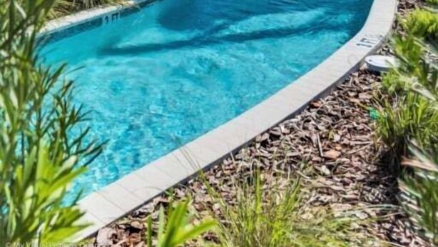 Un área de piscina con diseño curvo, rodeada de palmeras y sillones de descanso.