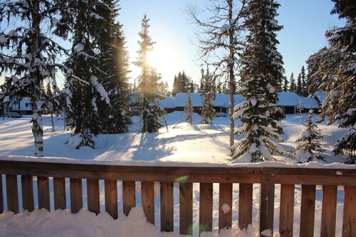 Cozy cottage only 50m from ski tracks with 100 km of trails.  Pets are allowed!