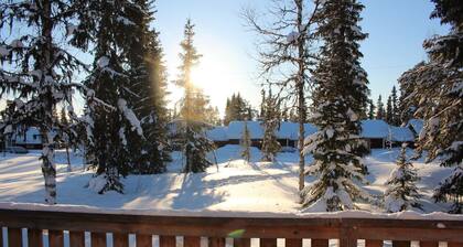 Cozy cottage only 50m from ski tracks with 100 km of trails. Pets are allowed!