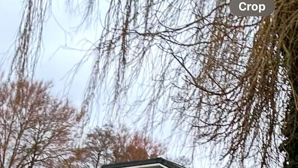 Een klein huisje aan een vijver, eenden zwemmen.