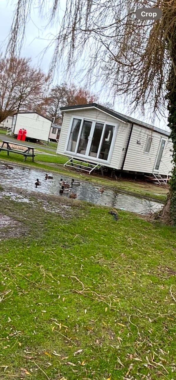 Property grounds - -garden-parking-nearcoast Springs 77 (Skegness)