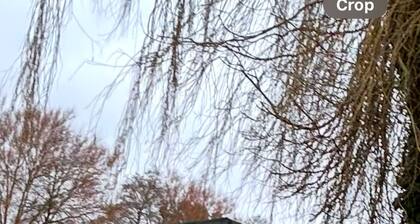 -garden-parking-nearcoast Springs 77