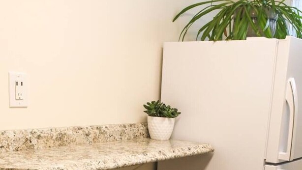 Una cocina con encimera de granito, dos taburetes metálicos, un refrigerador blanco y una planta en maceta.