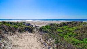Une plage avec un sentier sablonneux menant au rivage, entourée d’une végétation verdoyante.