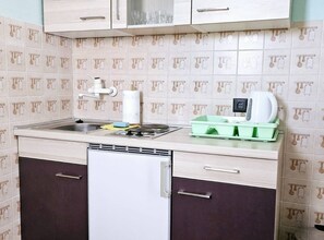 Fridge, stovetop, cookware/dishes/utensils