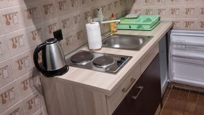 A compact kitchen with a stove, sink, and a kettle. - Apartments Željka - Studio Apartment with Terrace (Orebic)