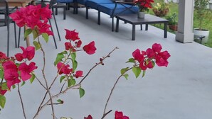 A covered outdoor seating area with a sofa and chairs, surrounded by potted plants and a white fence. - Private duplex house with WI-FI, TVs, BBQ Parking ,enjoy a peaceful Getaway (Cutler)