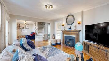 TV, fireplace, books