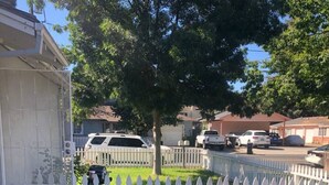 Un vecindario residencial cercado con valla de piquete blanca, un árbol y automóviles estacionados.