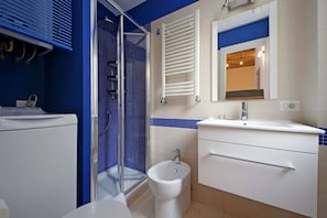 Une salle de bain équipée d’une douche, d’un bidet et d’un lavabo avec un miroir.