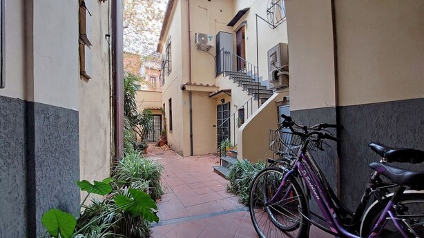 A narrow alleyway with a purple bicycle parked on the right, surrounded by potted plants.