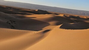 A desert landscape with undulating sand dunes under a clear sky. - BIVOUAC CÔTE-IRIKI (Allougoum)