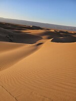 Paisaje desértico con dunas de arena onduladas bajo un cielo despejado.