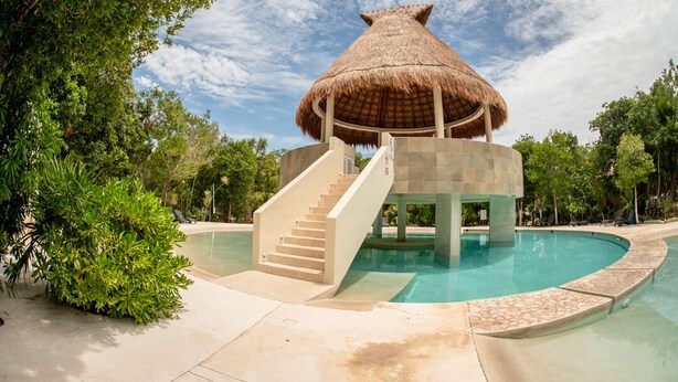 Estructura con techo de paja y escalera que lleva a una zona de piscina rodeada de vegetación.