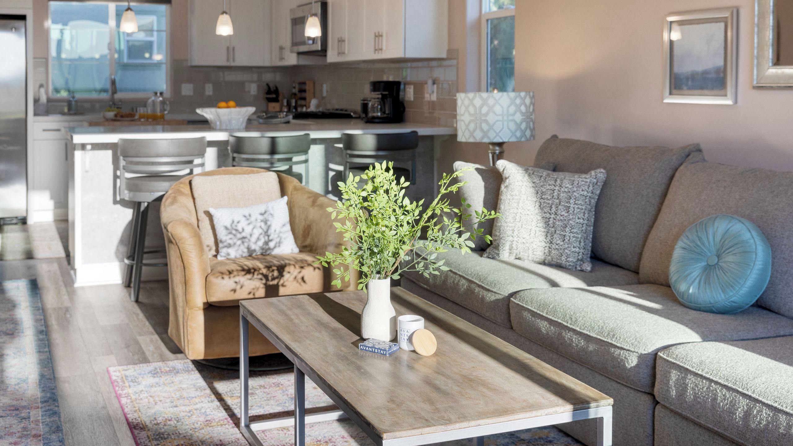A modern living room with a sofa, coffee table, and a decorative plant.